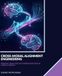 CROSS-MODAL ALIGNMENT ENGINEERING: BRIDGING IMAGE AND TEXT REPRESENTATIONS IN LARGE AI MODELS