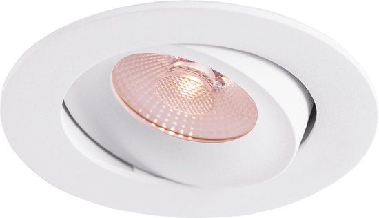 Thorgeon LED Downlight 8W Dim to Warm 520lm IP44 38° CRI>90 PF>0,9 (inclusief led driver) WIT: RAL9003