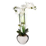 Atmosphera Orchidee bloem kunstplant - wit - H53 x B37 cm - in luxe zilveren pot