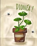 Patience, Dionéa !