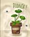 Patience, Dionéa !