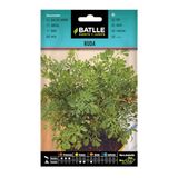 Aromatische Batlle Aromatische zaden van Batlle - Rue des Jardins (1 g), groen