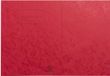 Exacompta 100x Schriftomslag in glanskarton 225g - 17x22 cm - Rood