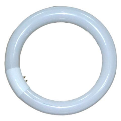 Falcon Eyes 291076 Fluorescente Lamp - 28W - 5500K - Daglicht