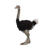 COLLECTA Figurine - Struisvogel - (L) - Wilde Dieren - Handgeschilderd - Miniatuur