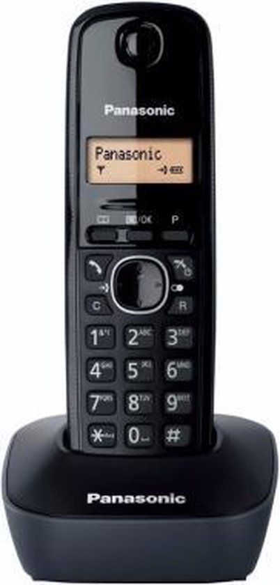 Panasonic TG1611BLACK Black Amber