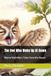 The Independently Published The Owl Who Woke Up At Dawn Paperback