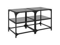 Maison Exclusive - Tables basses avec plateau en verre, 2 pièces, noir, 40x40x45 cm, acier