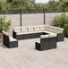 Prolenta Maison Exclusive - Tuinset voor de tuin, bestaande uit 12 delen met kussens, in zwart polyrotan