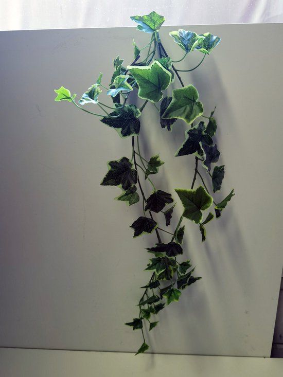 Decostar Kunst tak - Hang tak - Hedera Chicago - Chicago hanger - Groen - Geel - 80x20cm.