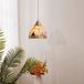 Merkloos Hanglamp met Scandinavische glazen kap en messing voet