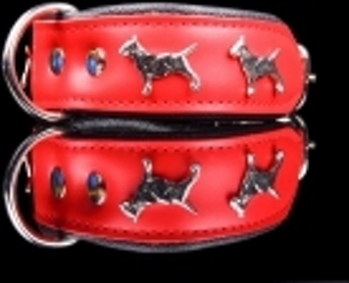 Dog's Companion Leren Halsband - Bull Terriër - Rood/Zwart - 45-53 cm x 40 mm