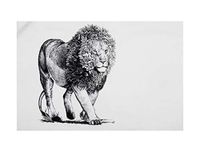 Maxwell & Williams Marini Ferlazzo Theedoek met Leeuw, 100% Katoenen Keukendoek, Wit, 50 x 70 Centimeter