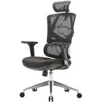 SIHOO Ergonomische bureaustoel met lendensteun, hoge rugleuning en 3D armleuningen - Zwart Gestoffeerd