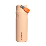 Stanley 1913 Flip Straw 2.0 Waterfles Met Rietje
