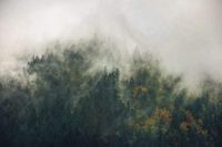 Komar Fotobehang - Tales of the Carpathians 300x200cm - Vliesbehang