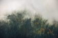 Komar Fotobehang - Tales of the Carpathians 300x200cm - Vliesbehang