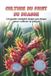 Culture Bol Culture du fruit du dragon