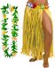 Hawaii rokje en bloemenkrans - Adultes - geel - thème tropical - hoela
