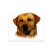 Quattroerre 8003 sticker hond Labrador grens