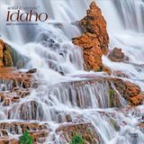 Idaho Brown Trout Idaho Wild & Scenic 2027 12 X 24 Inch (Hanging) Monthly Square Wall Calendar Plastic-Free