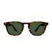 Barton Perreira Dino Lunettes de soleil unisexe Havane Pantos vert 50mm