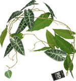 Bellatio Design Kunstplant/Hangplant Slinger - Alocasia - Groen - 105 cm - 2 Stuks