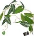 Bellatio Design Kunstplant/Hangplant Slinger - Alocasia - Groen - 105 cm - 2 Stuks