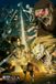 Grupo Erik Poster Attack on Titan - Paradis vs Marley 61x91,5cm