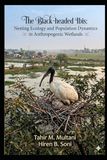 The Black-headed Ibis: Nesting Ecology and Population Dynamics in Anthropogenic Wetlands