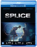 Dutch Film Works Splice (Blu-ray)