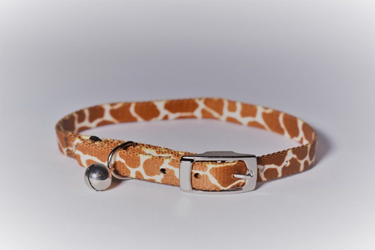 Animal King Kattenhalsbandje giraffe - 8719075381472
