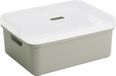 Sunware opbergbox mand kist - 24 liter - lichtgroen - kunststof - met transparante deksel - 45 x 35 x 18 cm - Sigma serie