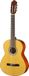 10 Walden WAN450W Klassieke Gitaar 4/4