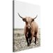 Image - Jeune Cerf (1 Partie) Verticale
