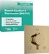Hansgrohe Ecostat Comfort E - Thermostatische inbouwkraan, voor 2 functies, afwerking gepolijst goud