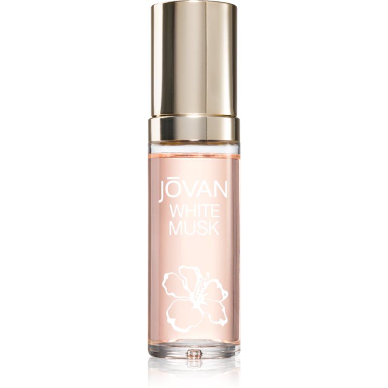 White Musk / - / -