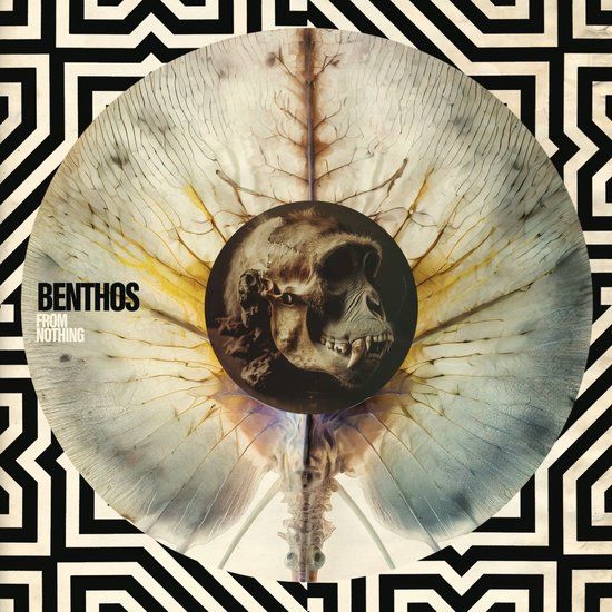 From Benthos From Nothing