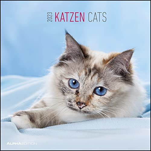 ALPHA EDITION GmbH Katzen 2023 - Broschürenkalender 30x30 cm