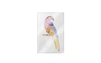 PUPA Milano Pupa Parrot Samba 001 Kit de maquillage