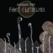 Forest Kikagaku Moyo Forest of Lost Children LP