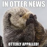 Willow Creek Press In Otter News Calendrier mural 2027