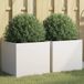 Prolenta Maison Exclusive - Plantenbakken, 2 stuks, wit, 42x40x39 cm, staal