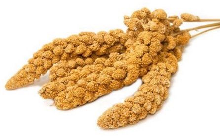 JR FARM Birds Vossengierst rood 250 g
