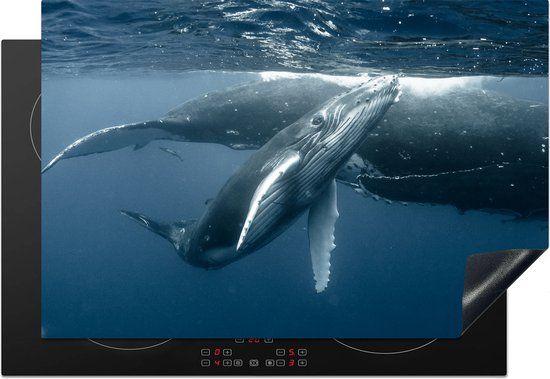 KitchenYeah® Inductie beschermer 77x51 cm - Walvissen (2) - Inductie kookplaat accessoire