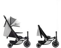 SmarTrike traveler - light grey