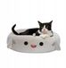 Squishmallows Lit pour chien et chat requin Gordon 60 cm