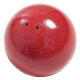 BSN Sport Draaide Iron Shot Put