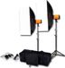 Godox Studio Smart Kit 250SDI-A