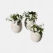 Loberon Decoratief ei set van 3 Waverlye wit
